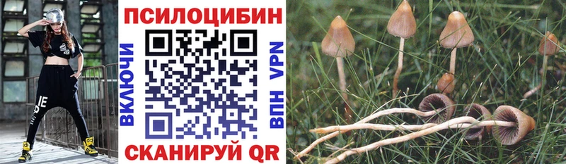 Псилоцибиновые грибы мухоморы  Сельцо 